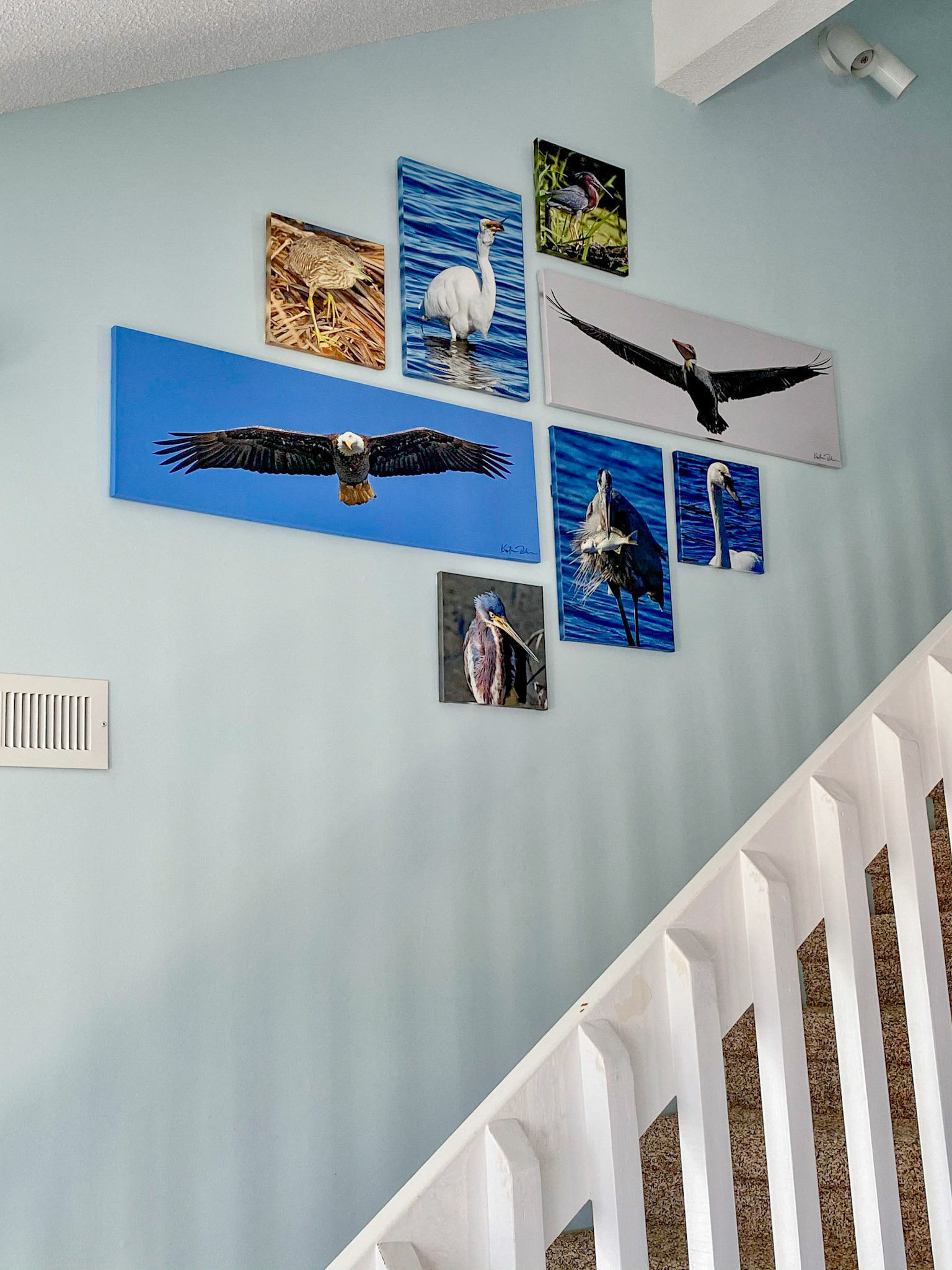 On the wall!