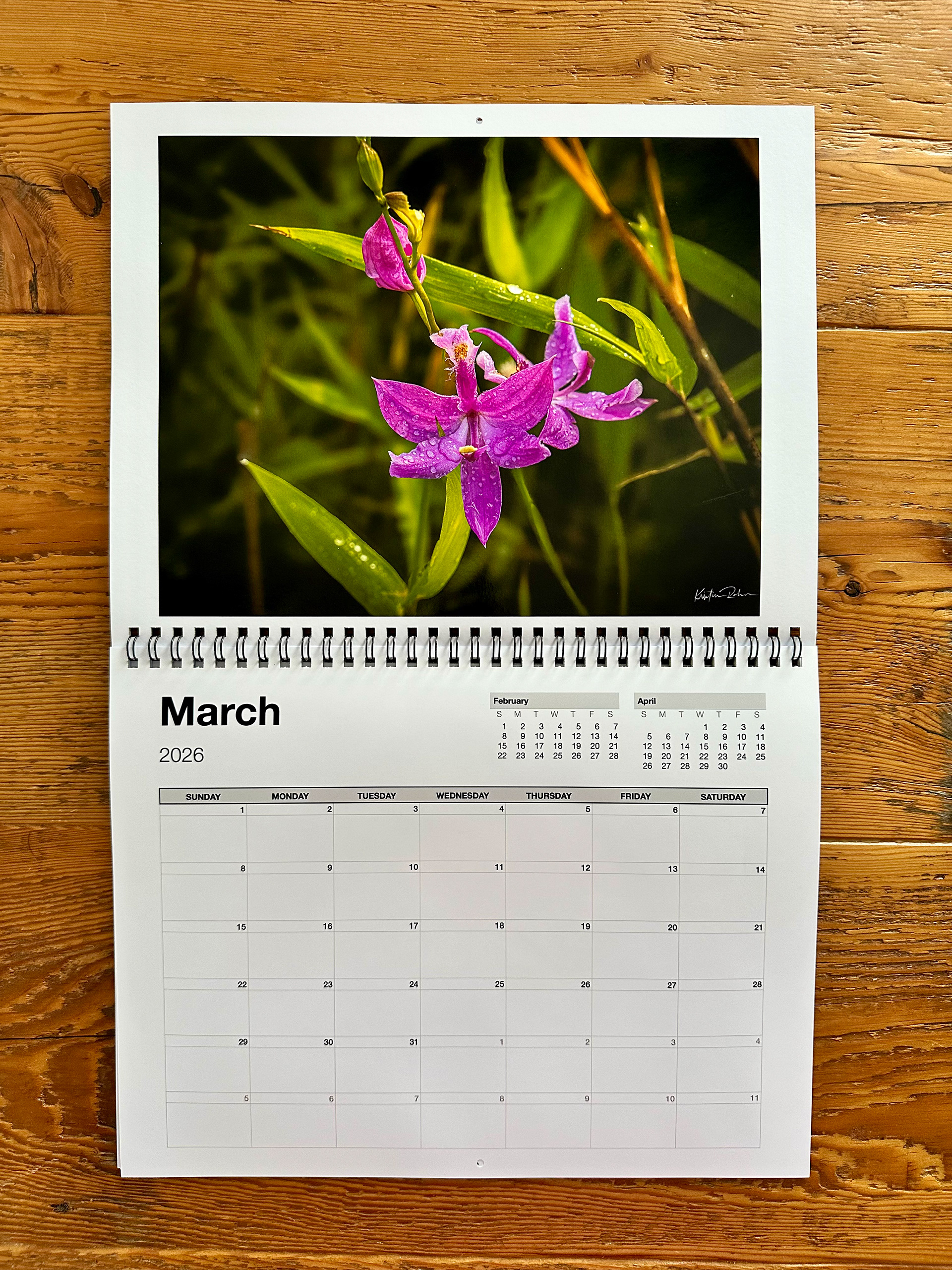 Month sample with orchid