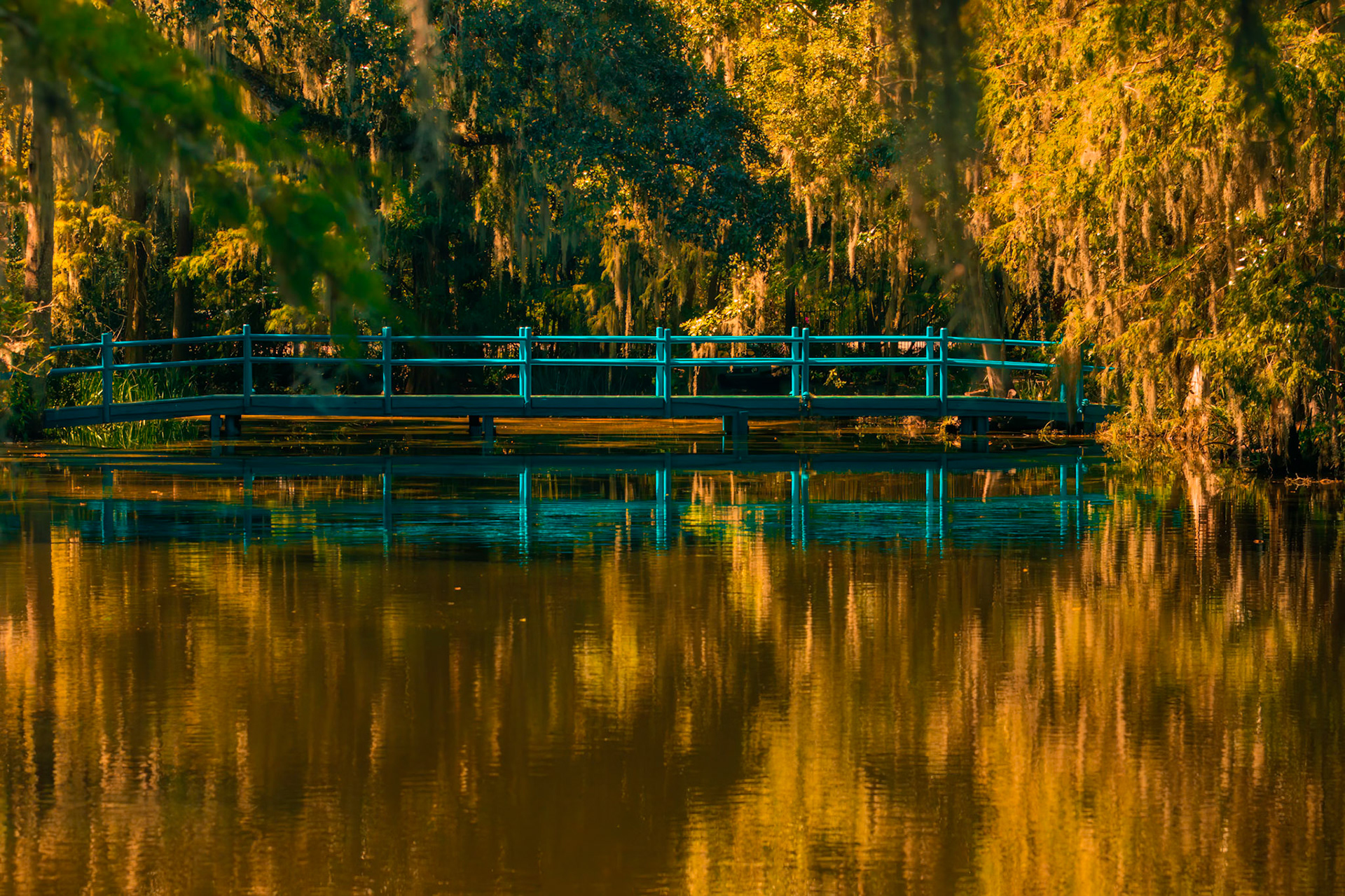 Bridge 2, Magnolia Plantation and Gardens, Charleston, SC