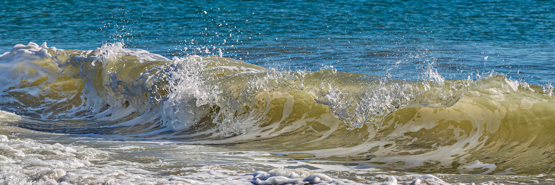 Winter waves 8, OIB east end
