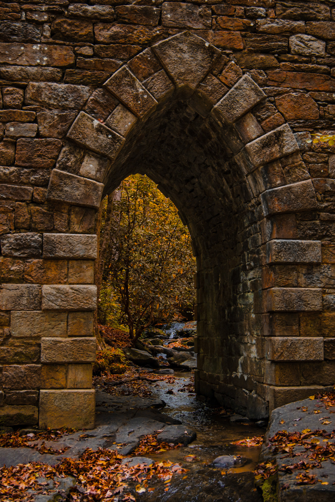 Poinsett Bridge 2, SC