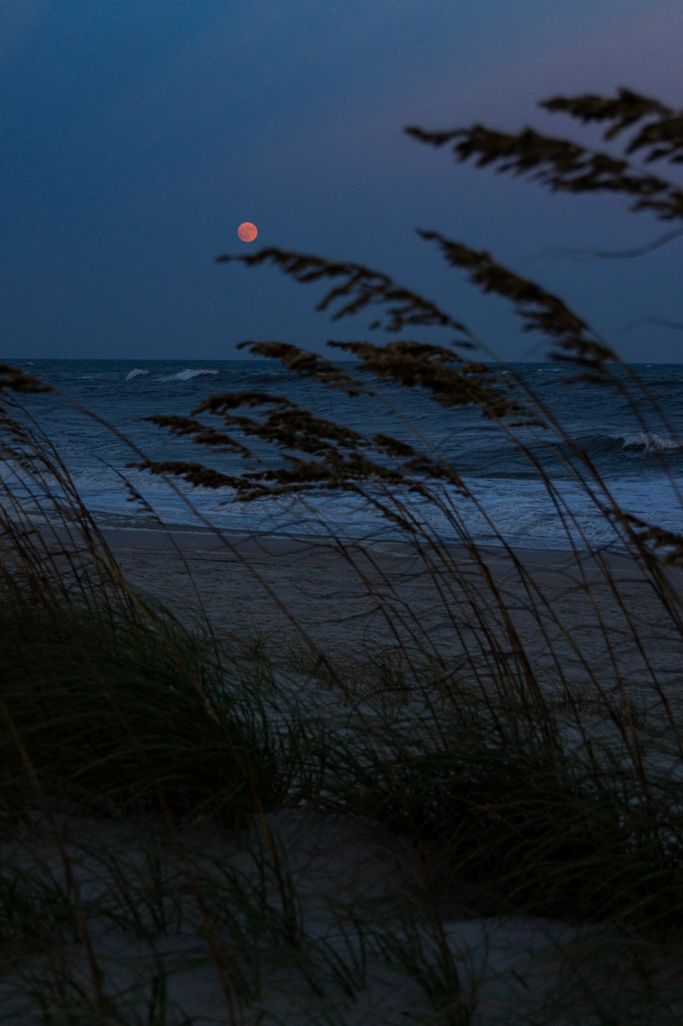 Full moon 11, OIB east end