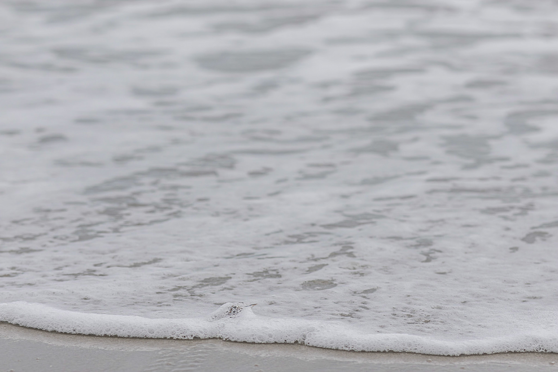 Loggerhead 7, OIB east end