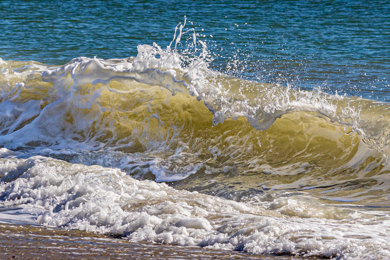 Winter waves 6, OIB east end