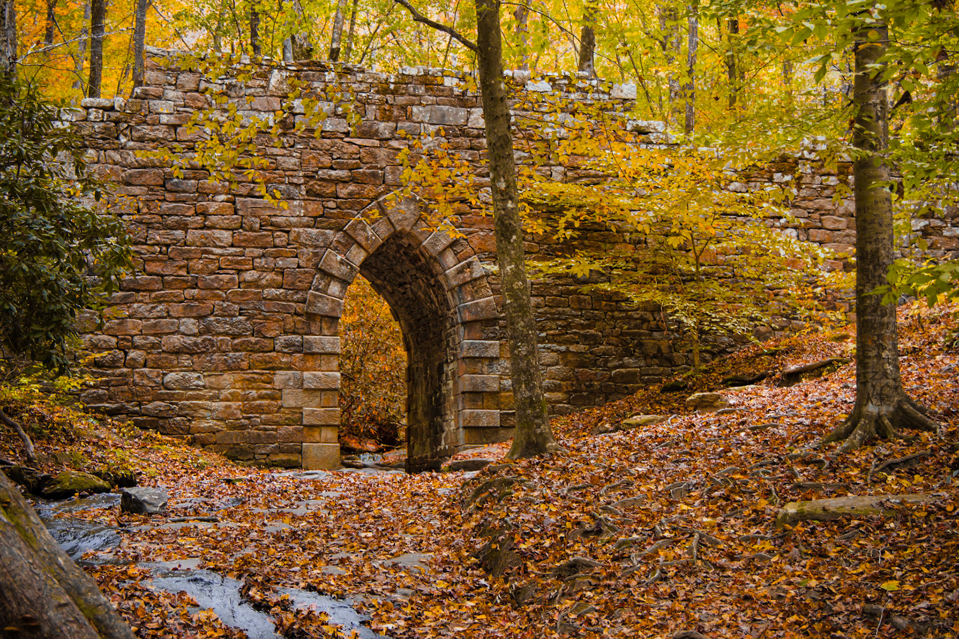 Poinsett Bridge 1, SC