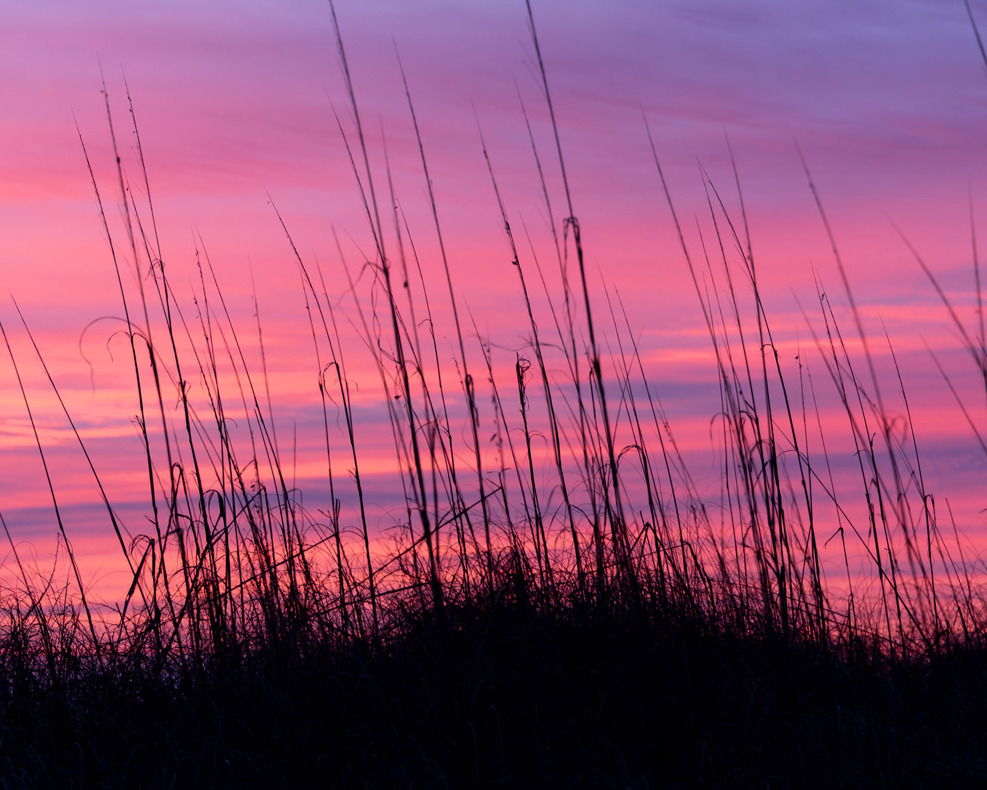 Sunrise 29, OIB east end