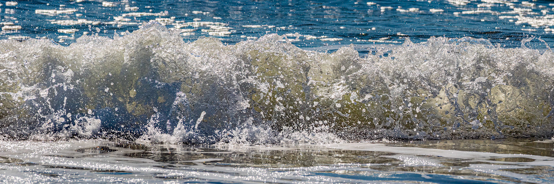 Winter waves 20, OIB east end