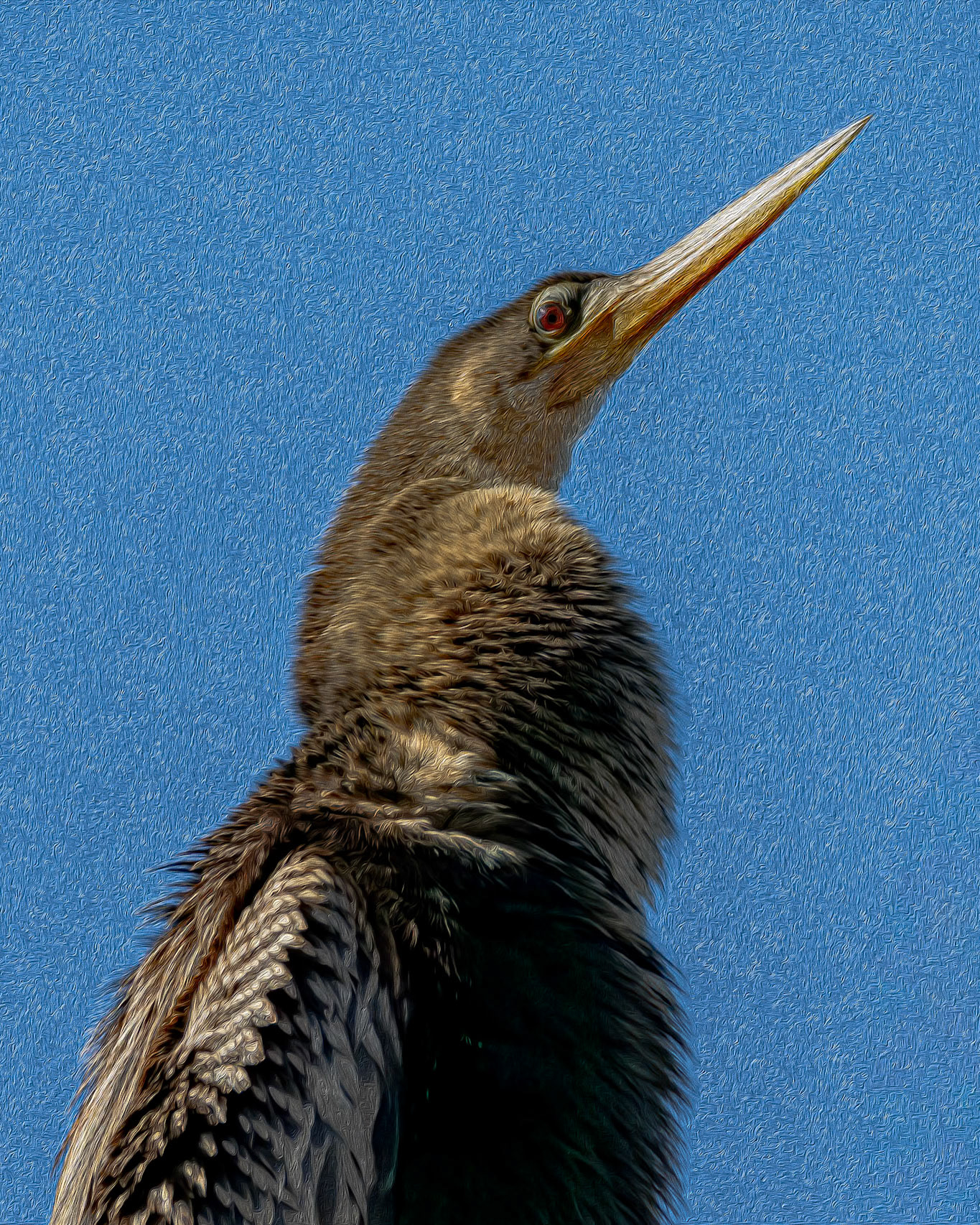Anhinga 27 oil paint, Huntington Beach State Park