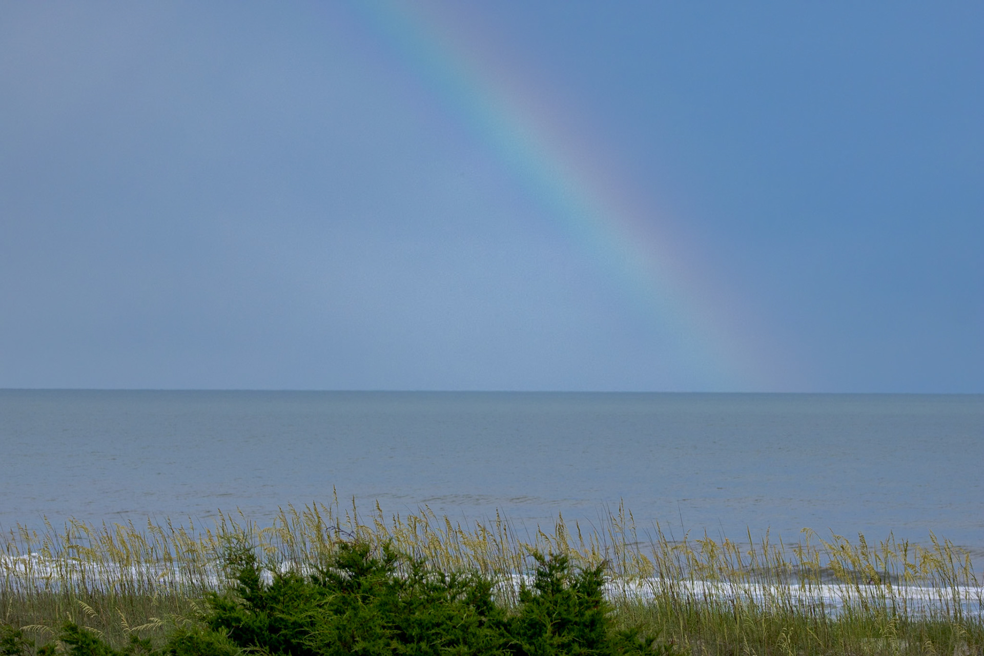 Rainbow, OIB East End