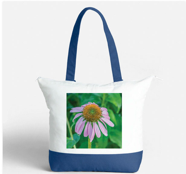 Coneflower 1 on blue