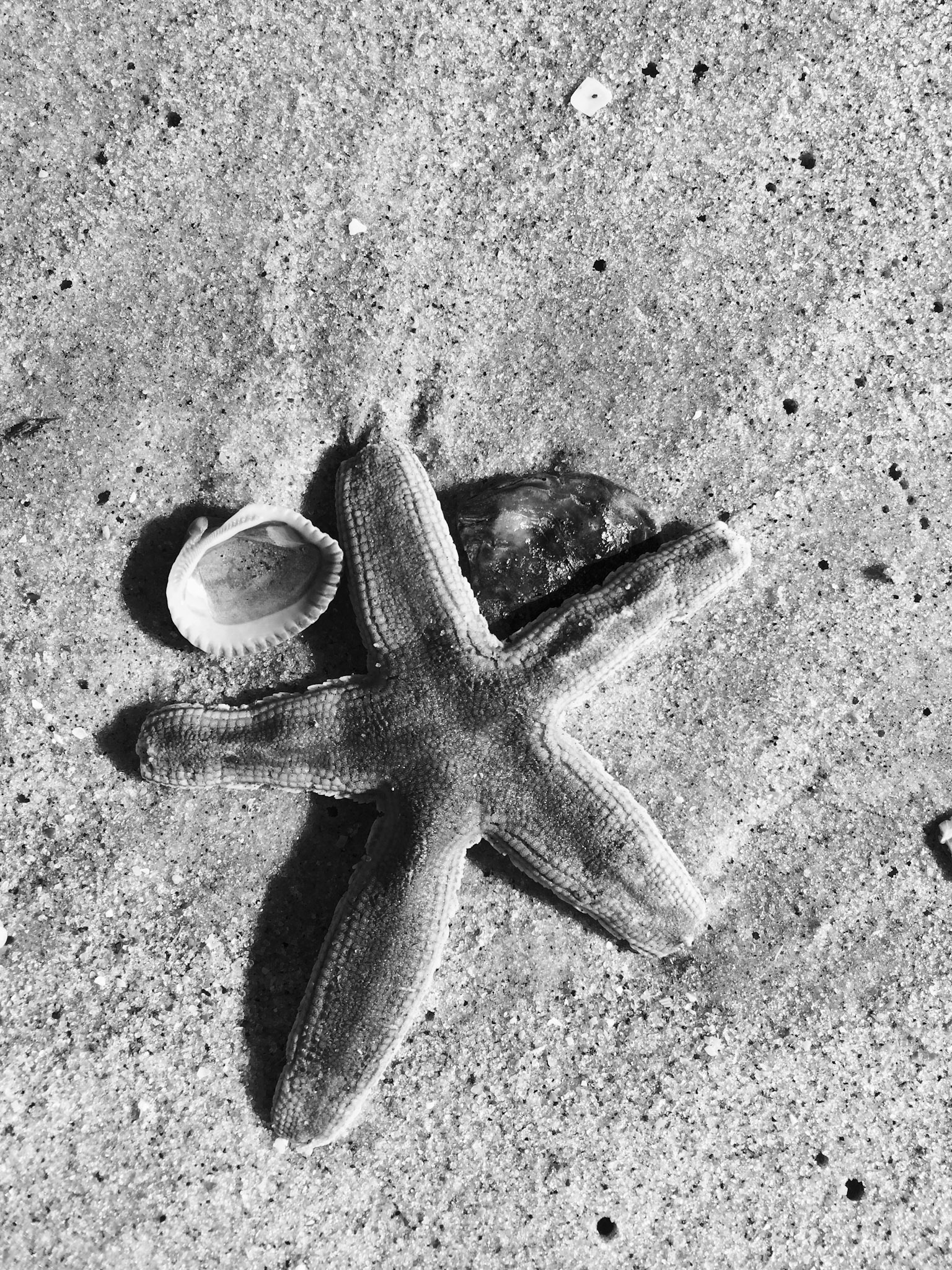 Starfish 2, OIB east end
