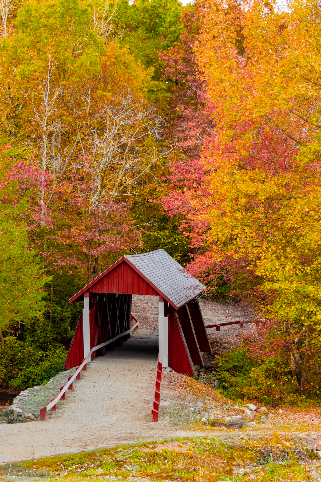Cambell's Covered Bridge 3, SC