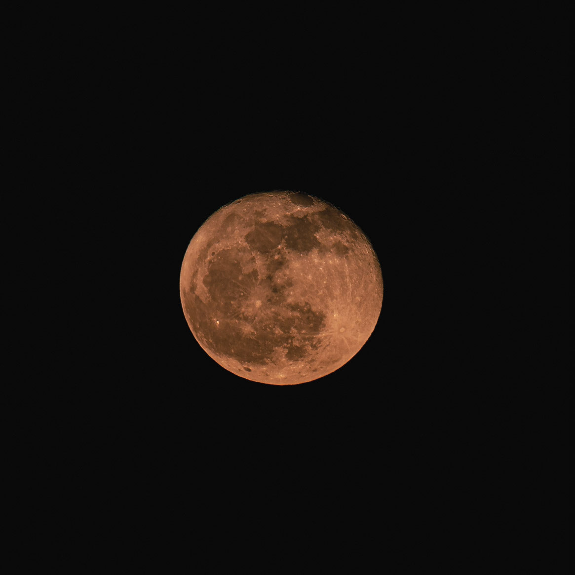 Flower moon 5, OIB East end
