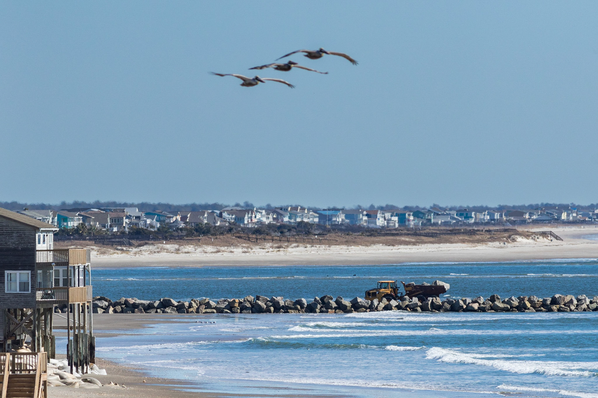 Pelicans at eye level 3, OIB east end