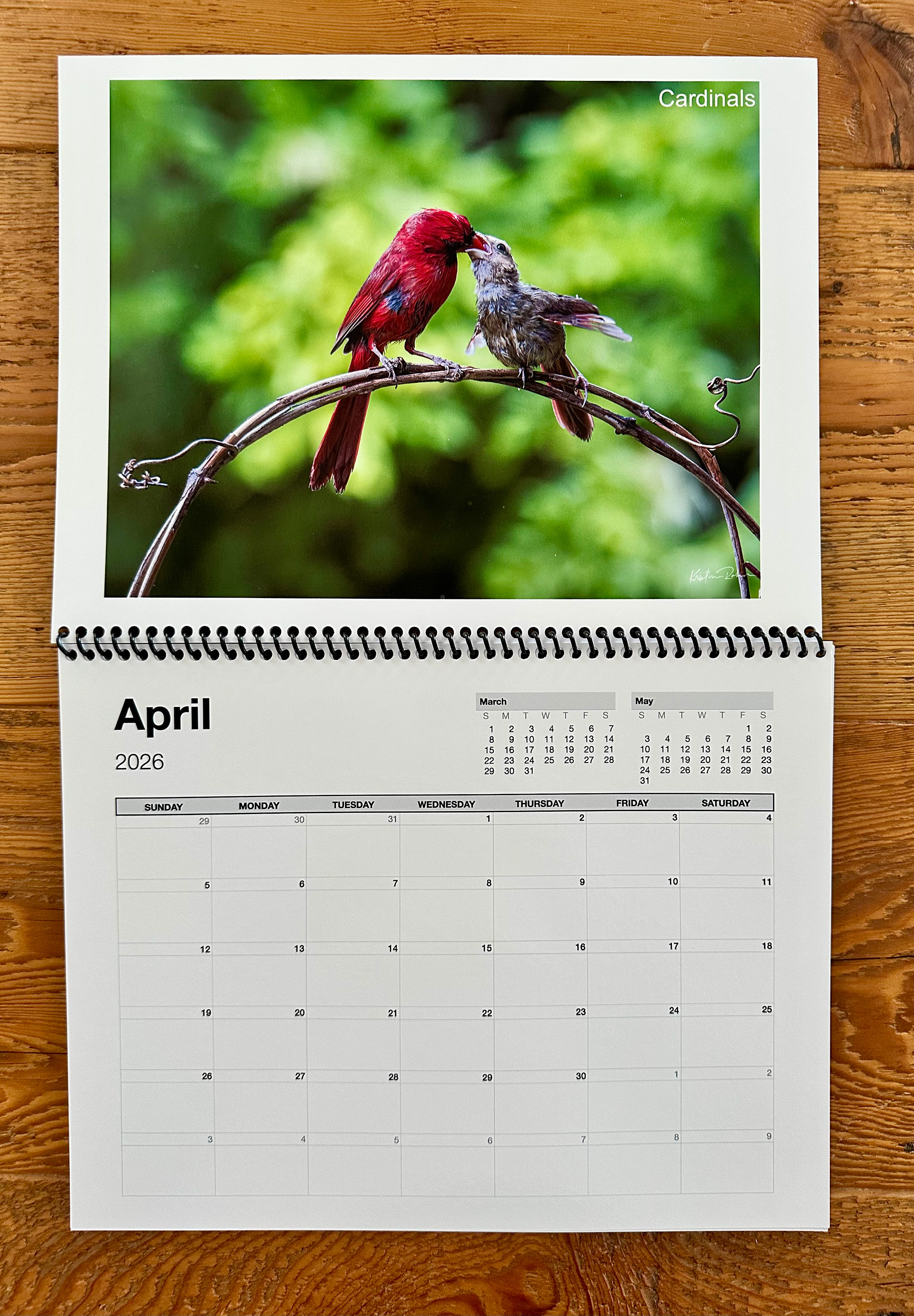 Month sample with cardinals