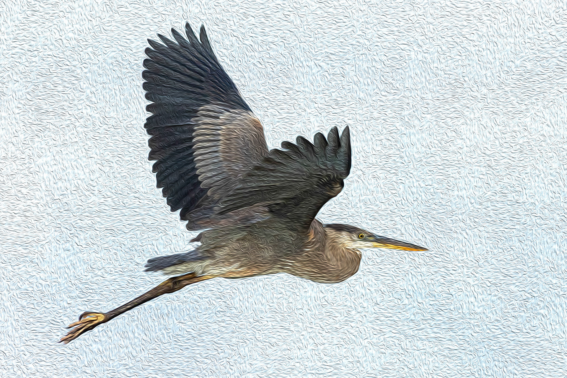 Oil painting 16,great blue heron, Sunset Beach, NC