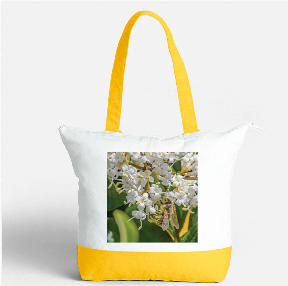 ligustrum with bee on yellow