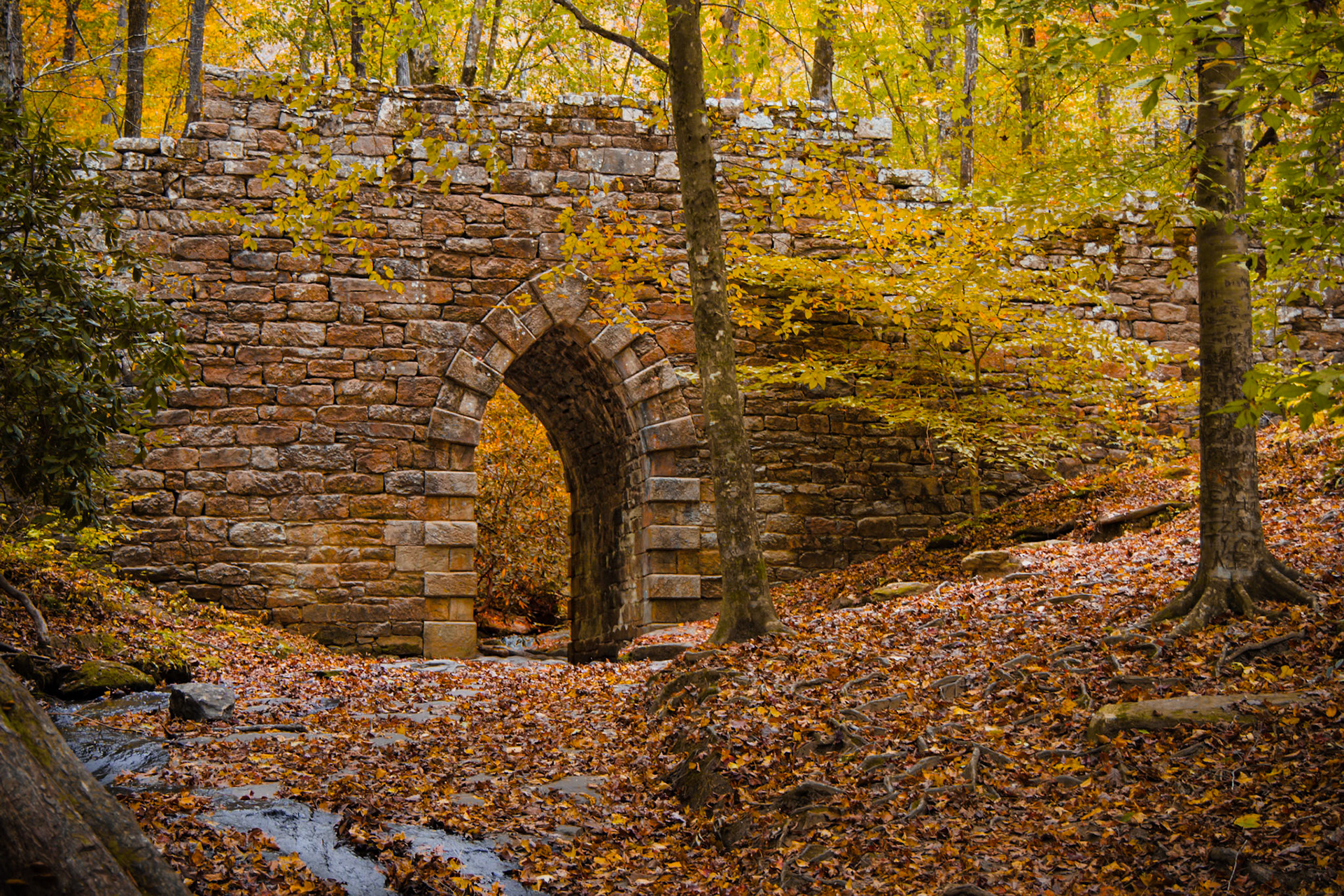 Poinsett Bridge 1, SC
