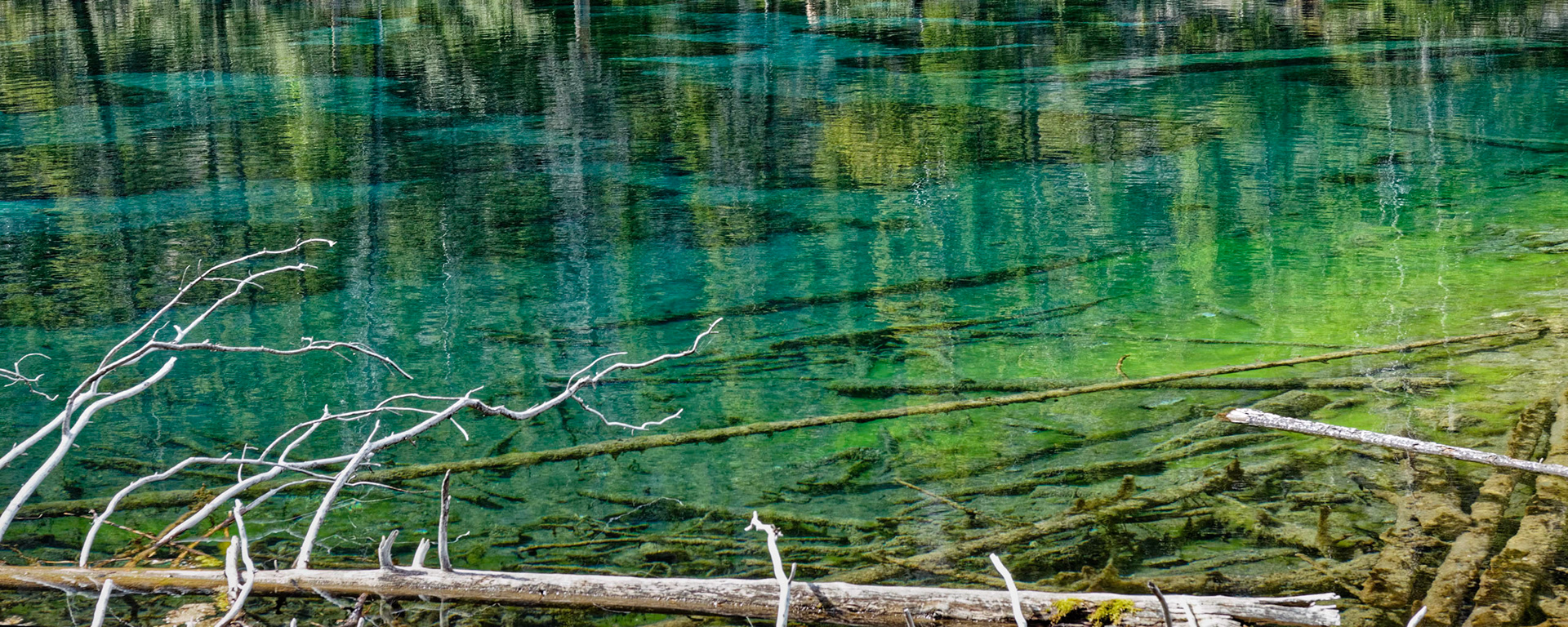 Surprise Lake