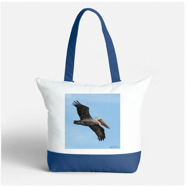 Brown Pelican 52 on Blue