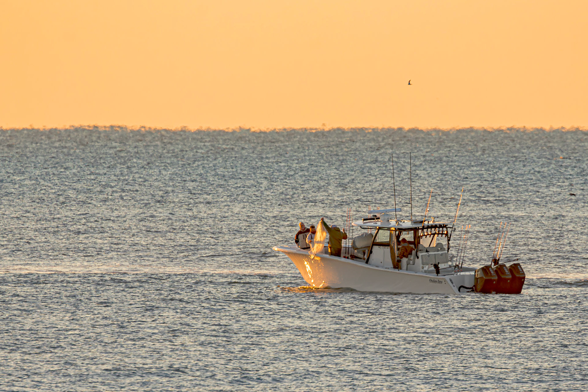 Bait fishing 2, OIB East End