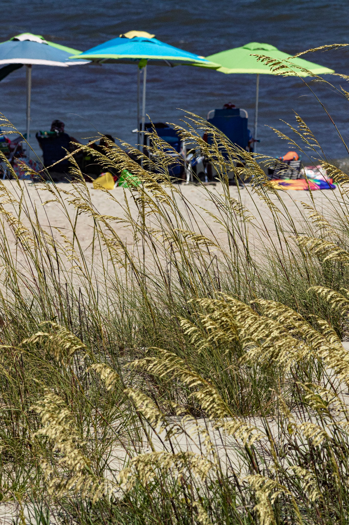 Oats and umbrellas 2, OIB East End