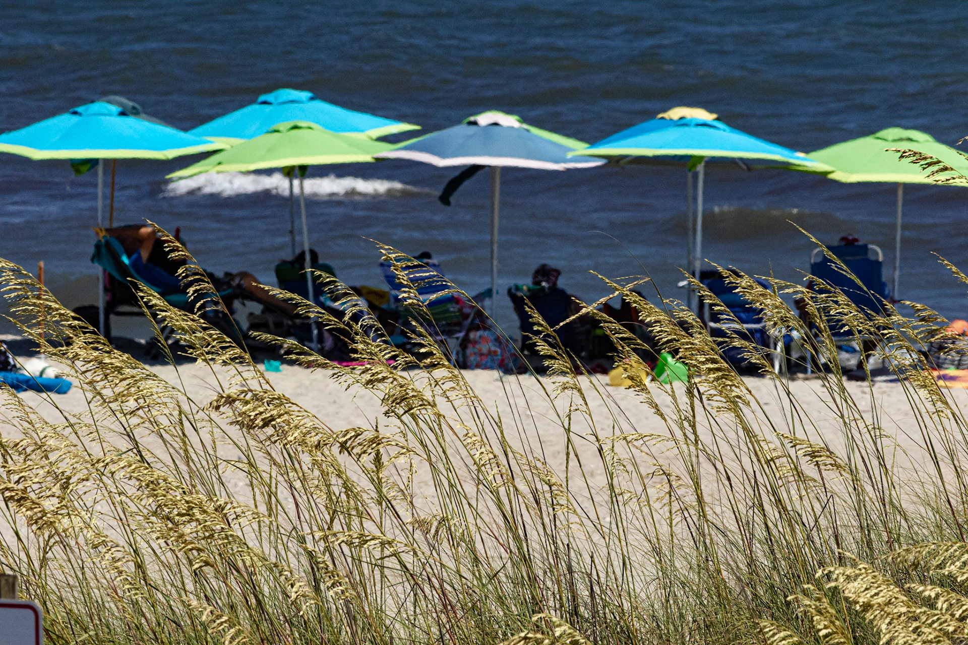 Oats and umbrellas 1, OIB East End