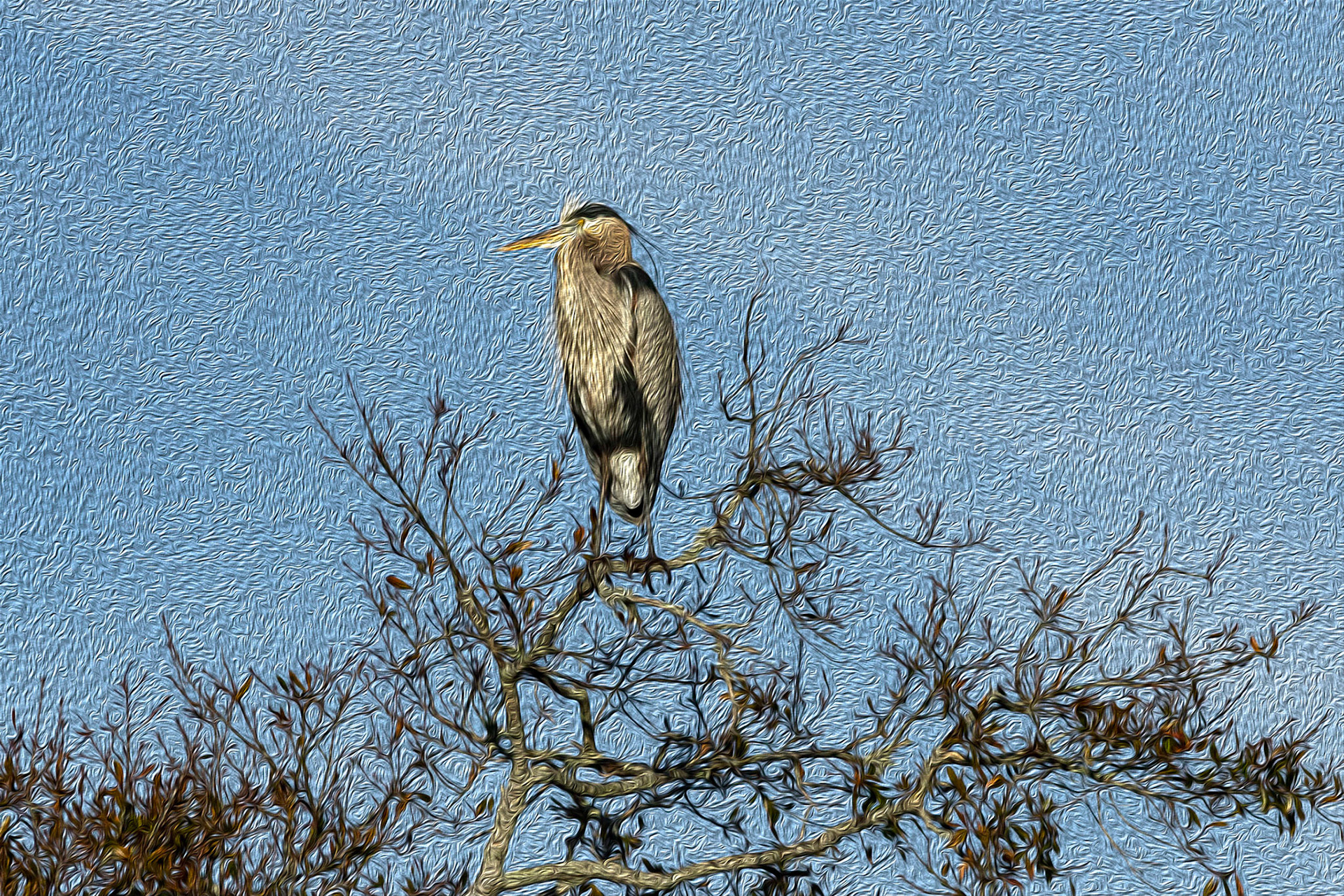 Oil painting 25, great blue heron, Sunset Beach, NC