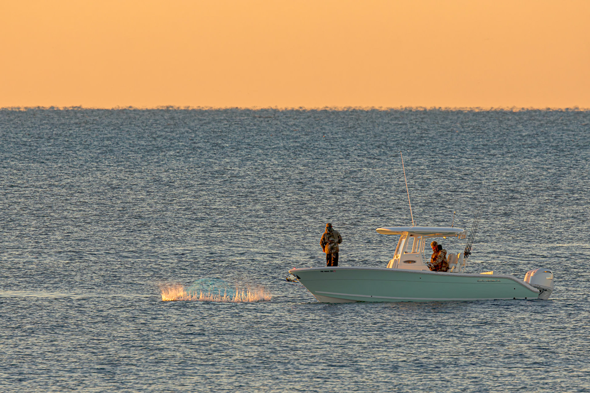 Bait fishing 4, OIB East End