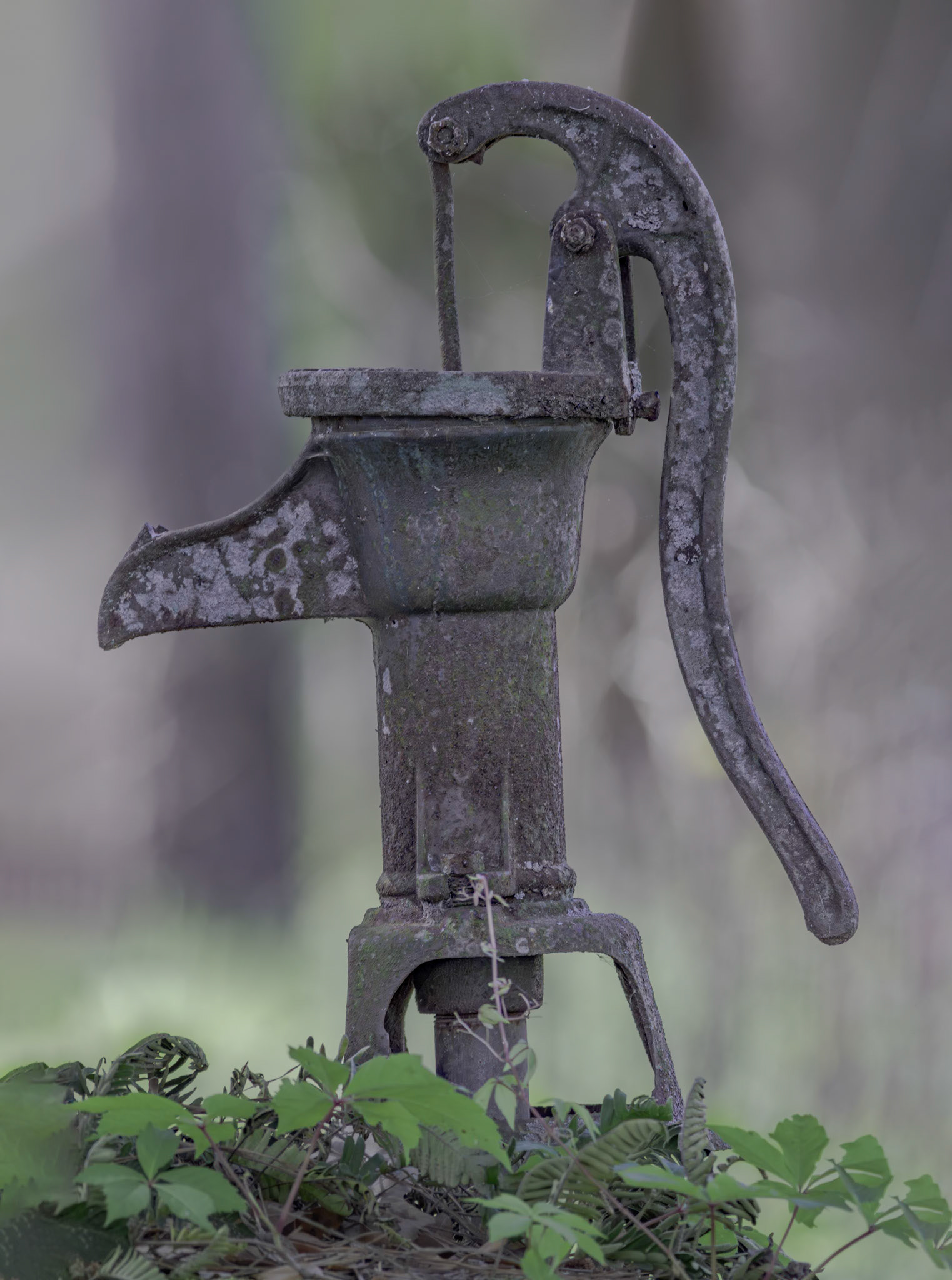 Old homestead well, Donelly WMA