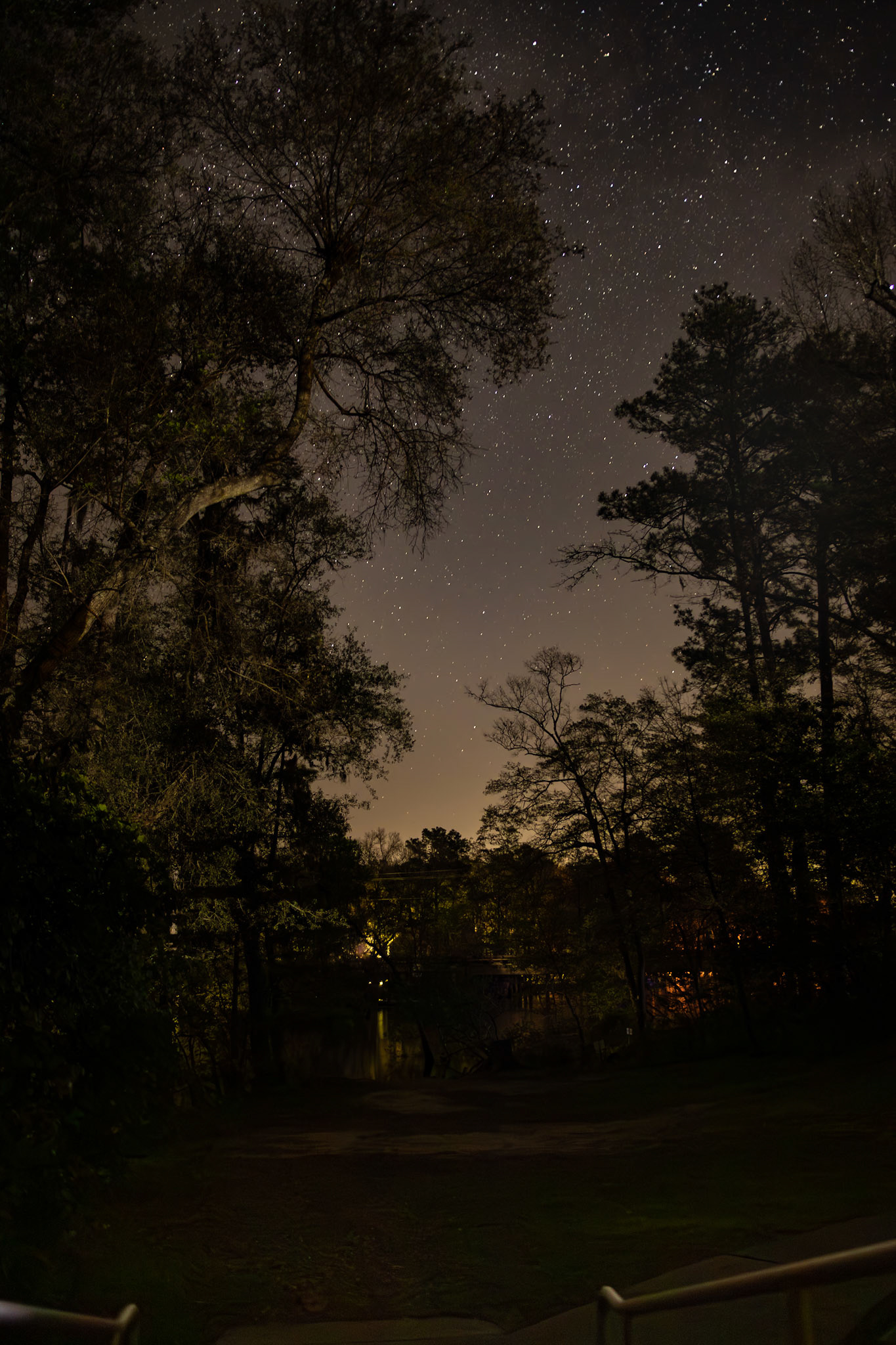 Colleton State Park, SCAIR 56