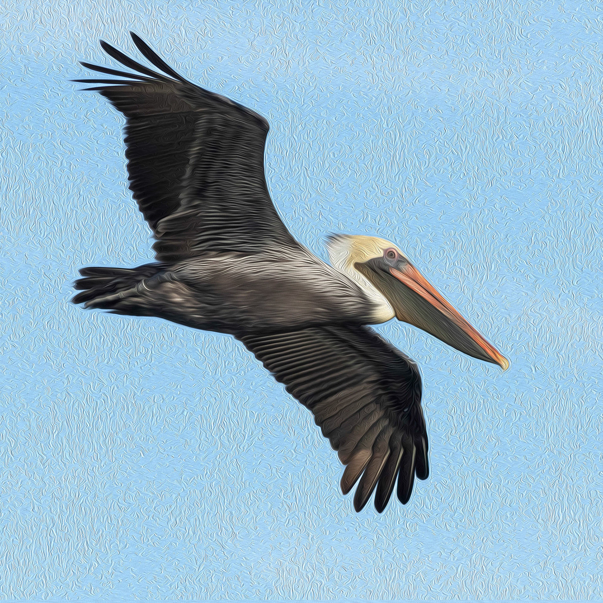 Oil painting 26, brown pelican, Sunset Beach, NC