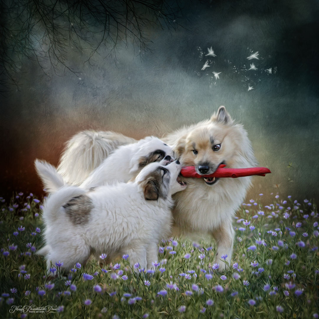 Fun and Games with Dad