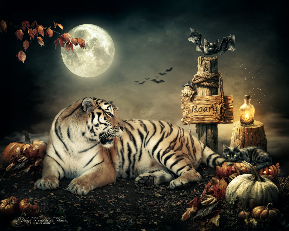 Tales of the Pumpkin Jungle