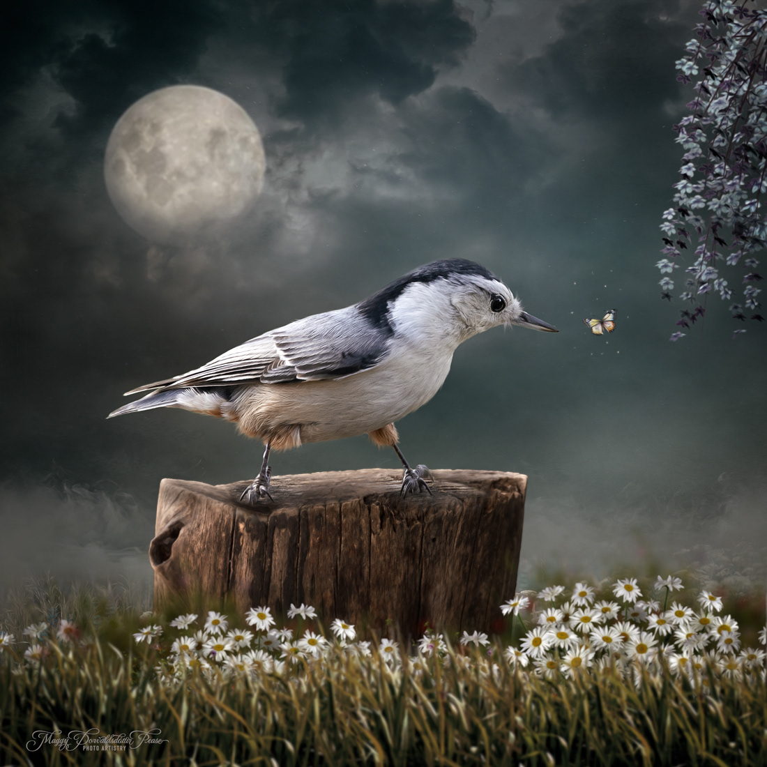 A Moment of Wonder