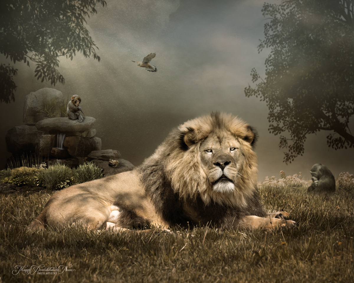 Resting in the Savannah
