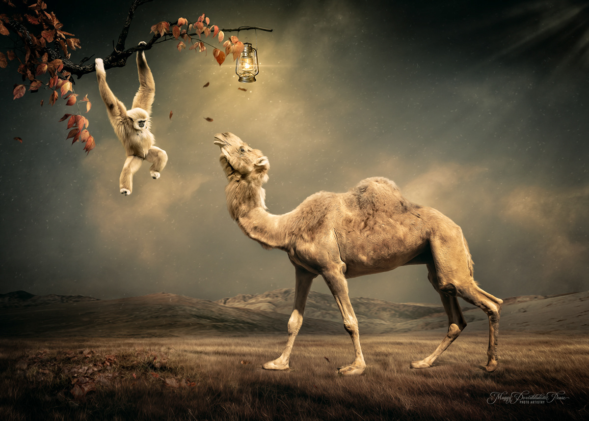 Treebound Tales of Unlikely Friends