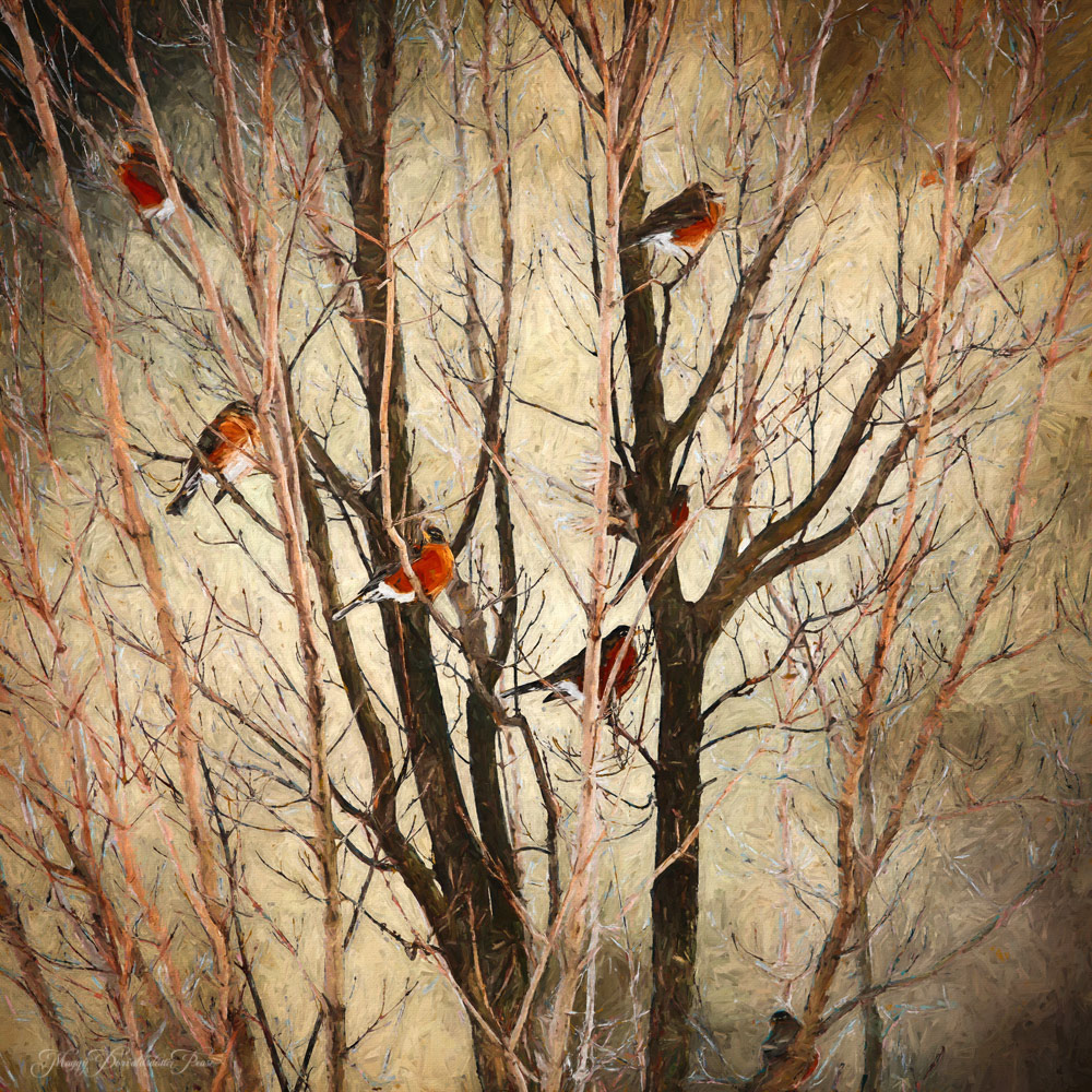 Robins