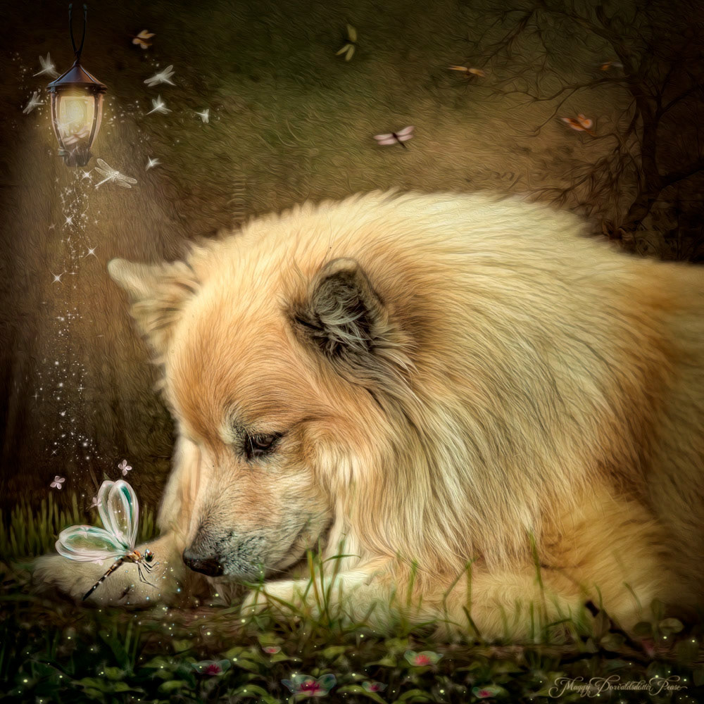 Enlightenment (Spurðann)