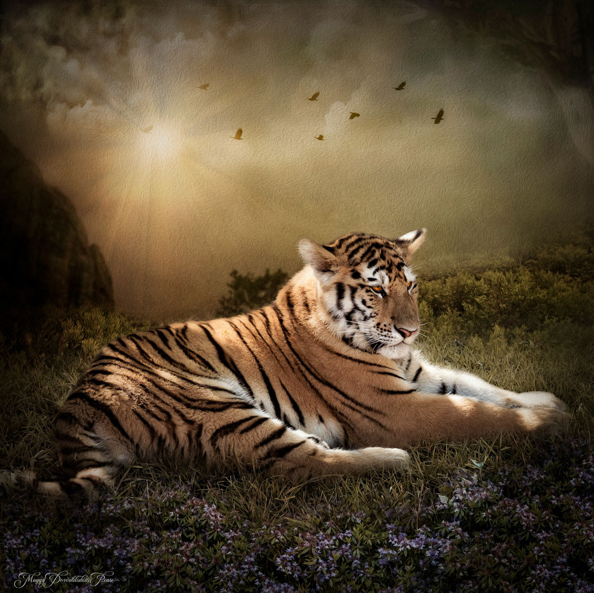 Peaceful Resolve