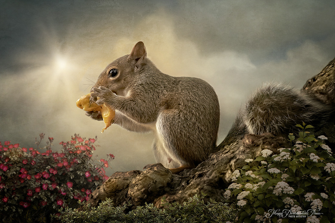 Beans, beans the musical fruit.