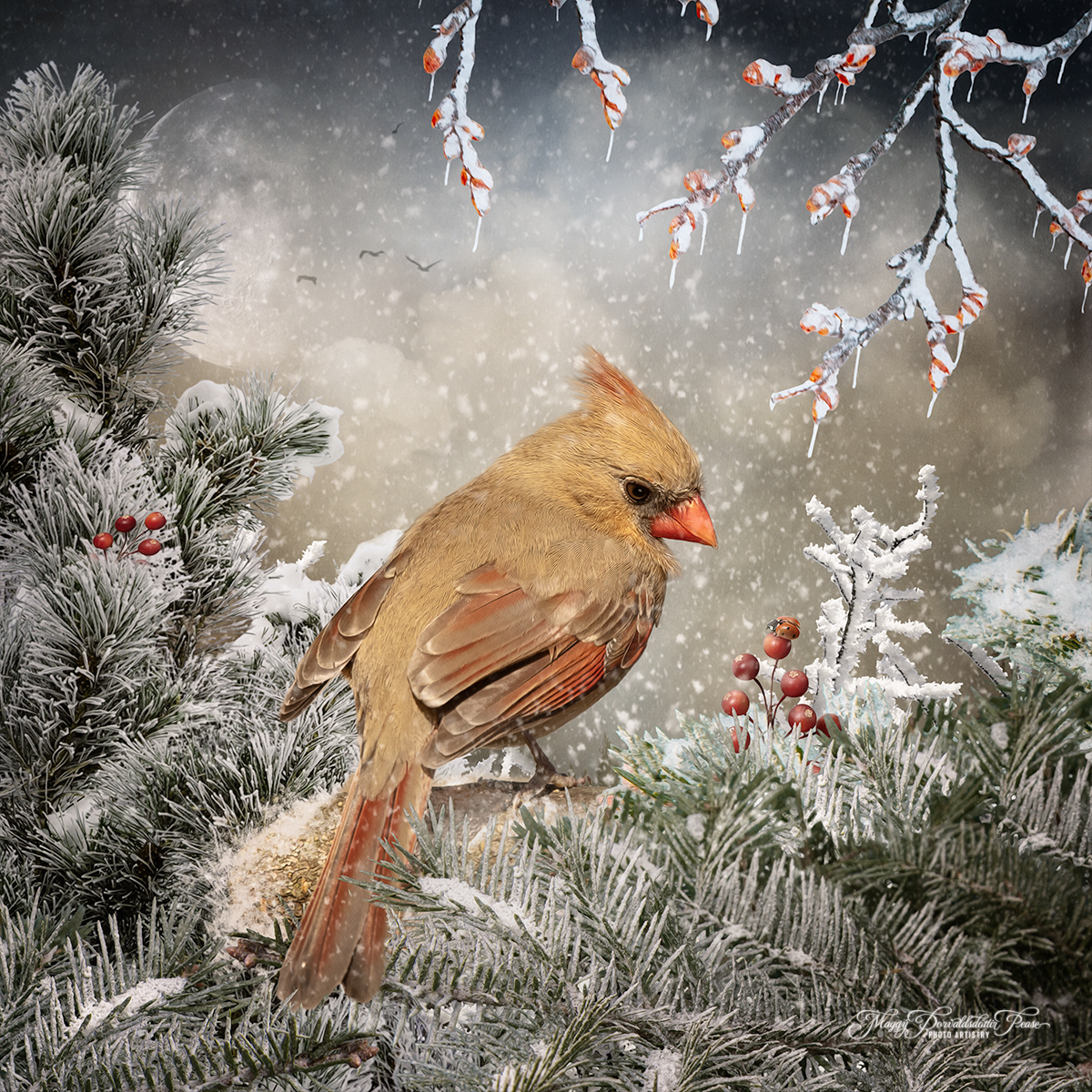 Cardinal