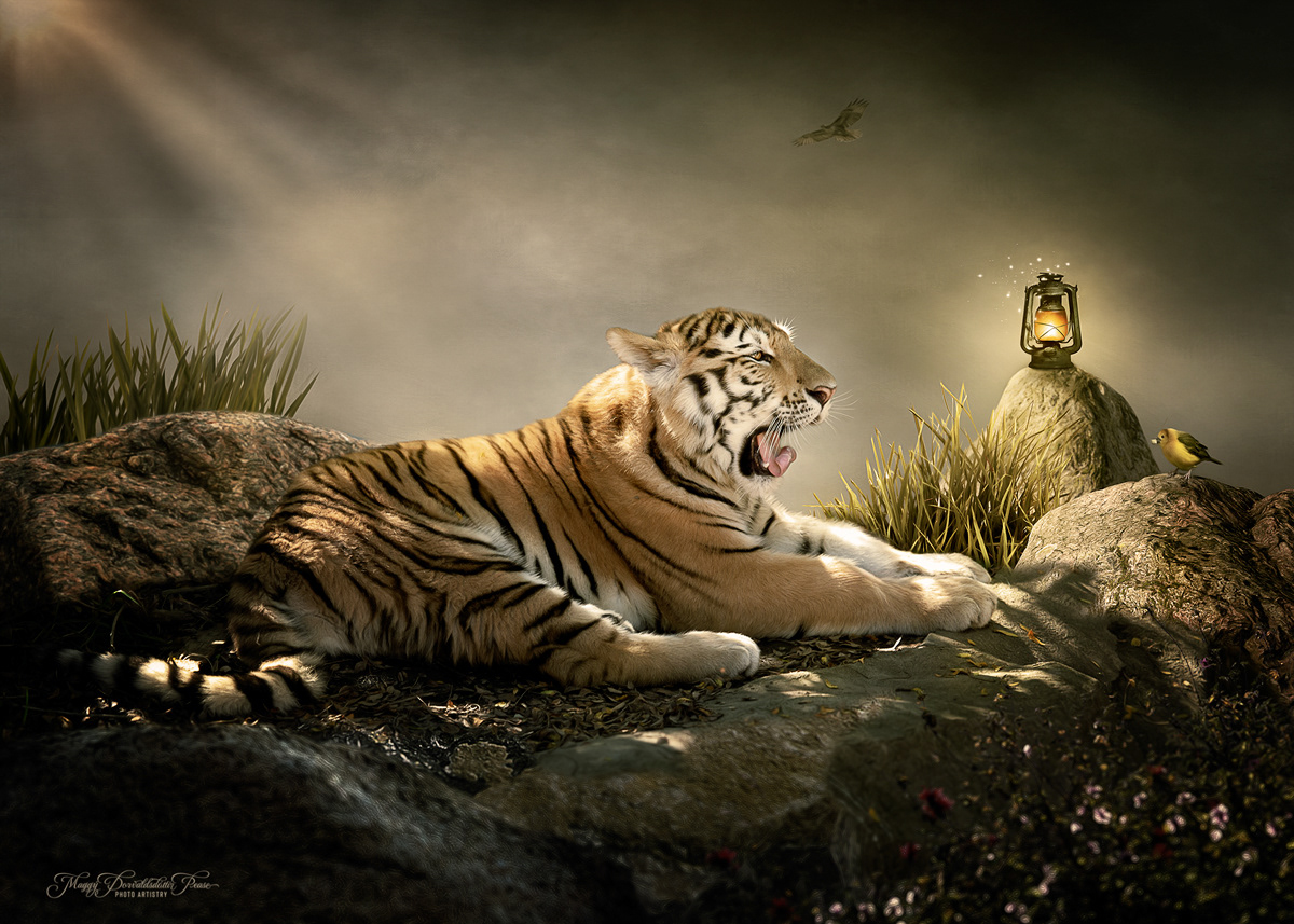 Sleepy Joe and his feathered friend