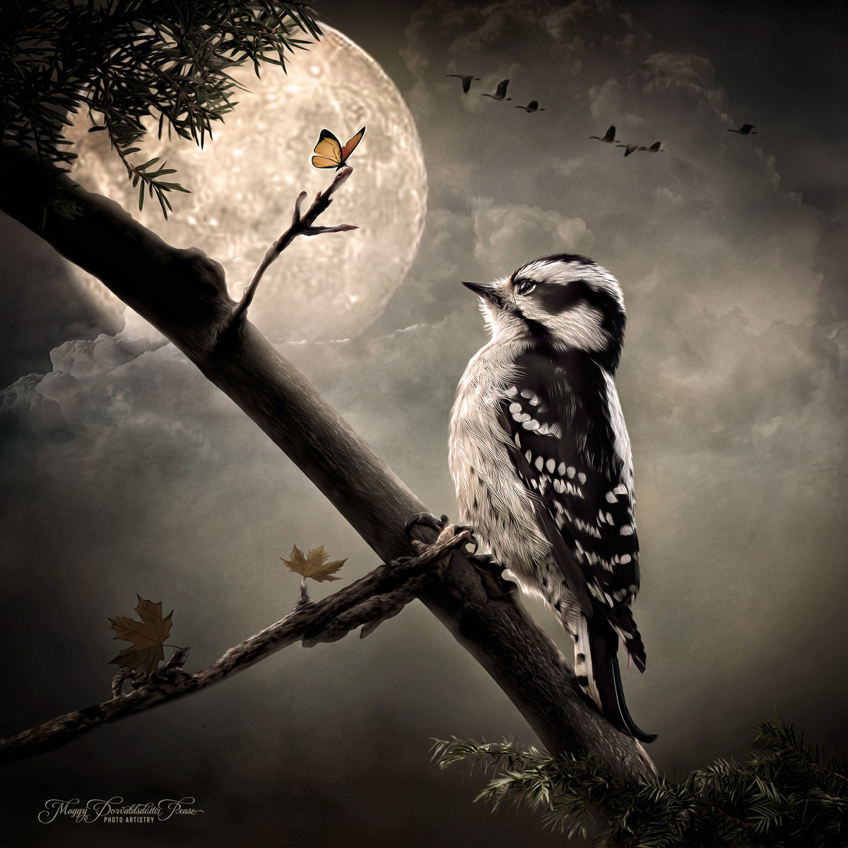 Moonlight conversation
