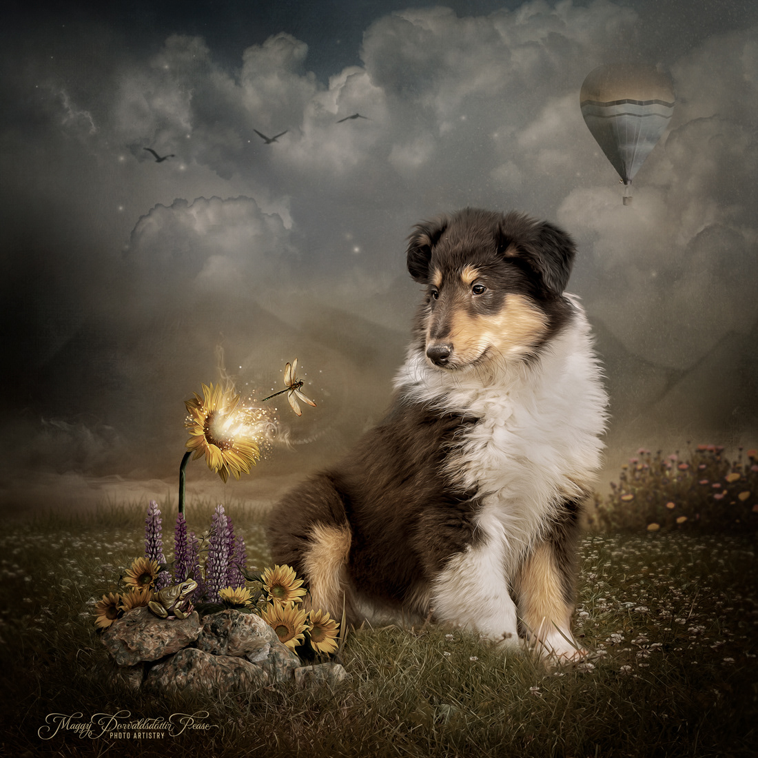 Overcome by Curiosity