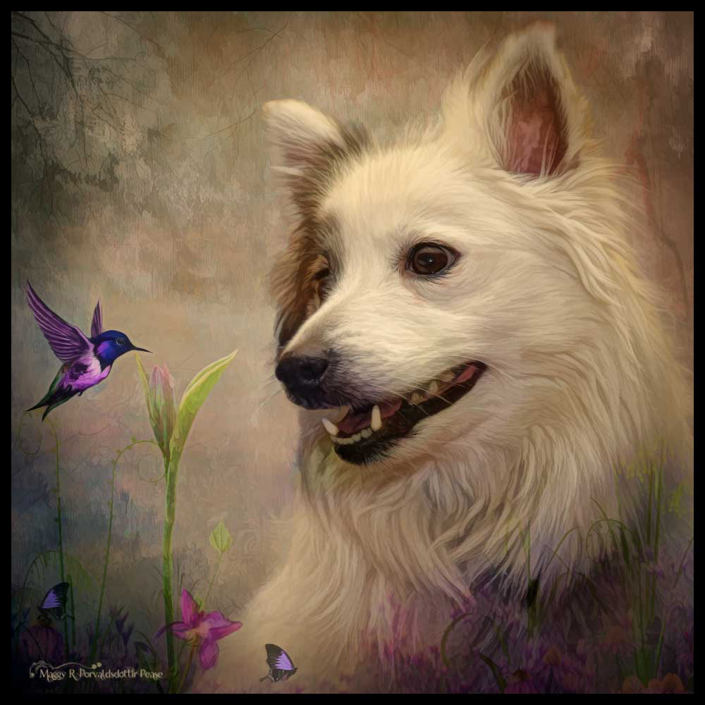 Inquiring Mind (Elska)