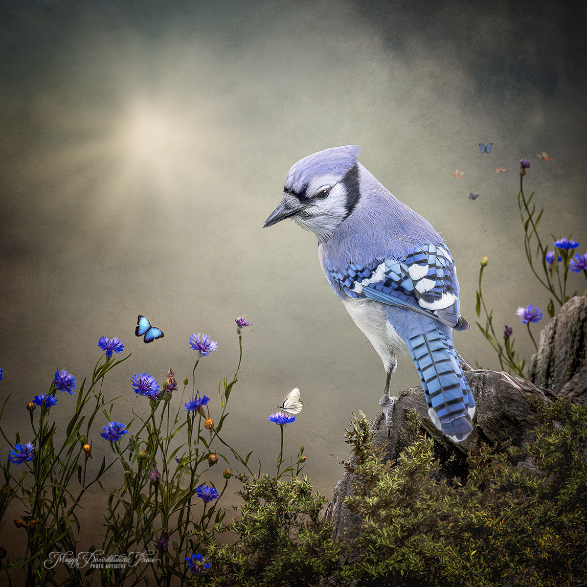 A Flutter of Blue
