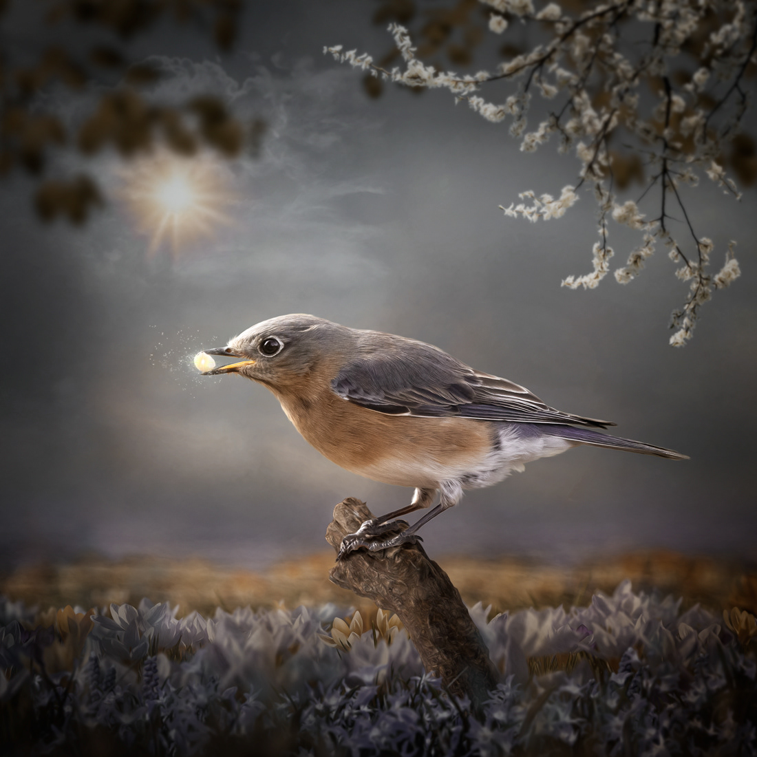 Enchanted Treat