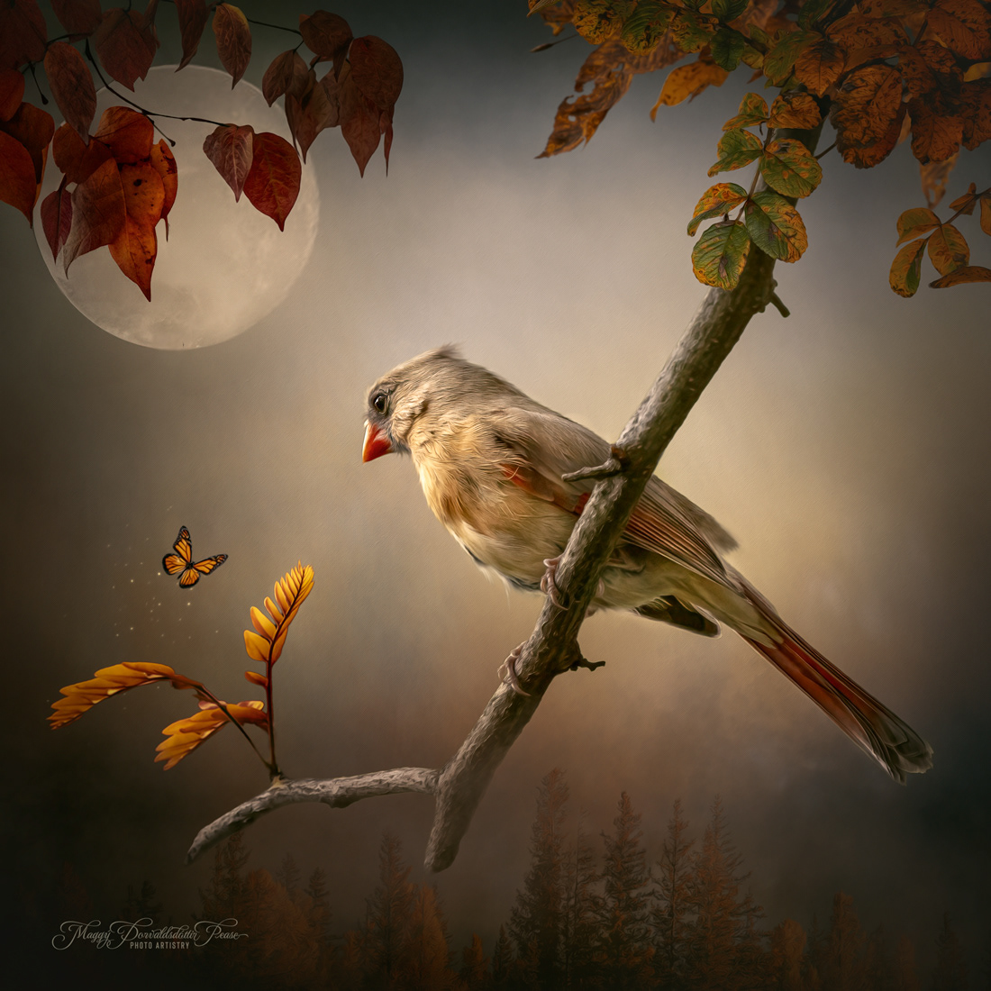 A Moment of Stillness