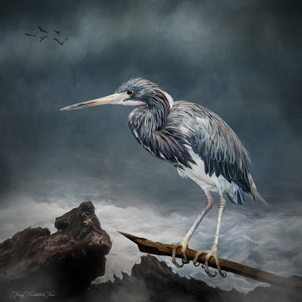 Heron